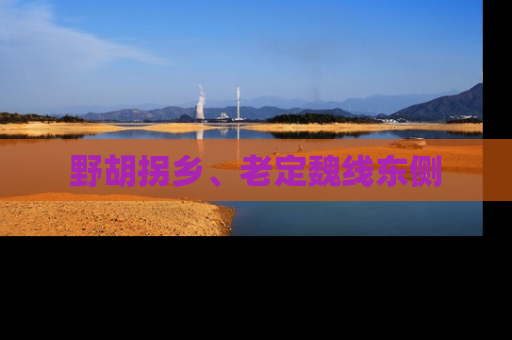 野胡拐乡、老定魏线东侧