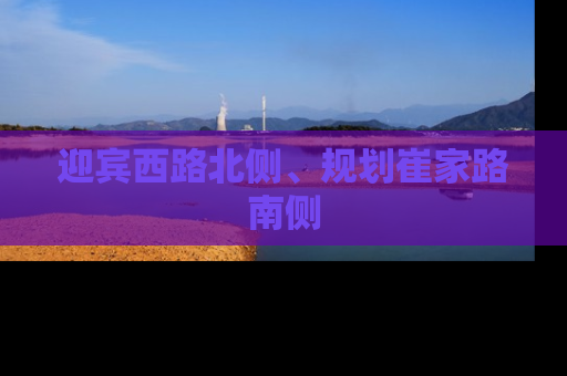 迎宾西路北侧、规划崔家路南侧