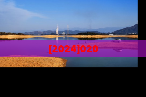 [2024]020