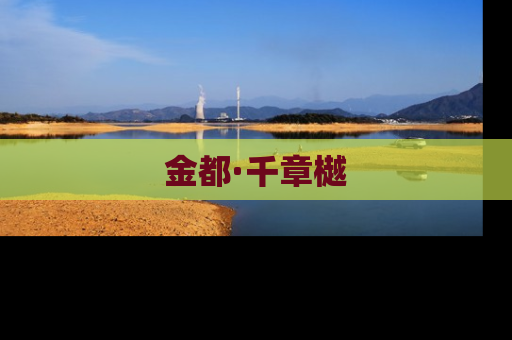 金都·千章樾