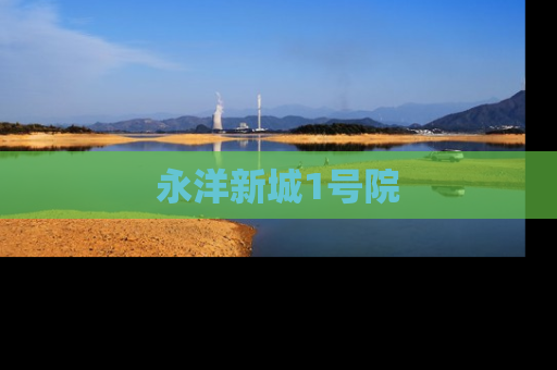 永洋新城1号院
