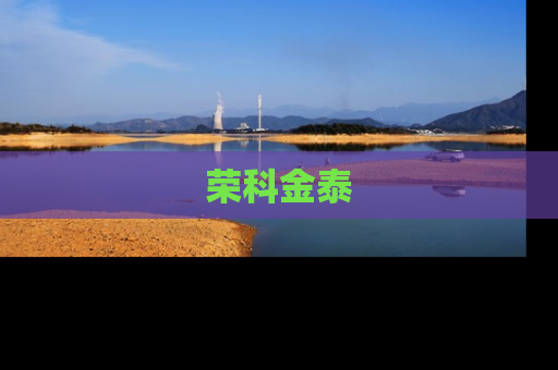 荣科金泰