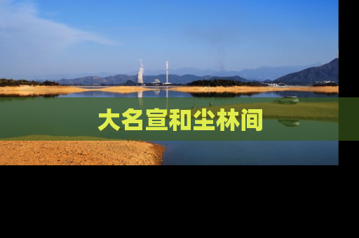 大名宣和尘林间