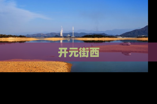 开元街西